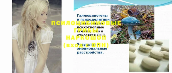 спайс Касимов