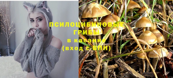 мет Карталы