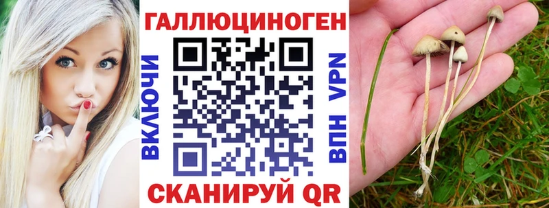 Псилоцибиновые грибы мухоморы  Купить  Харабали 
